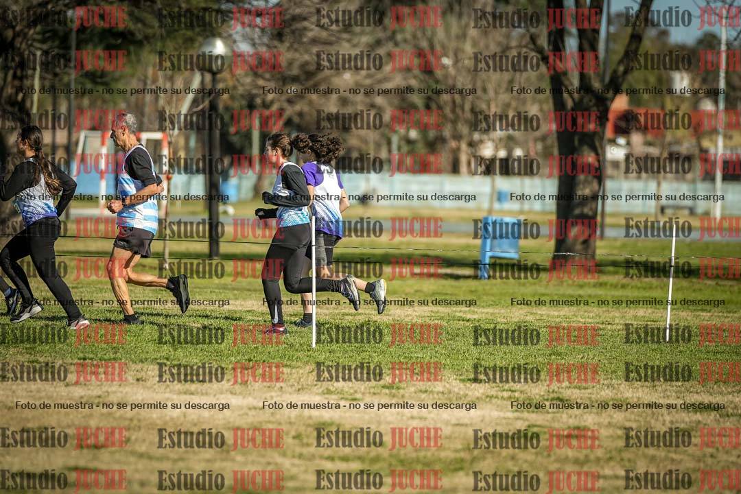 Fotos en el circuito