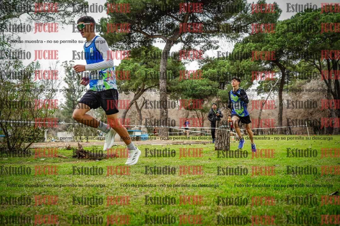 Fotos en el circuito