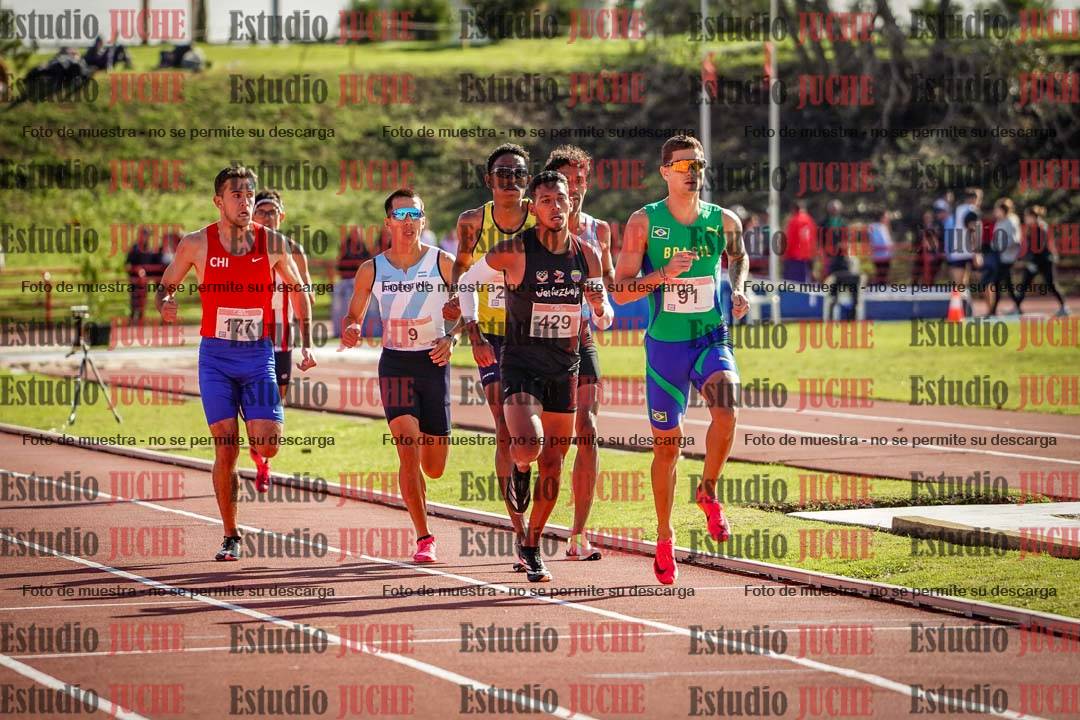 Fotos de los 800 m llanos de varones