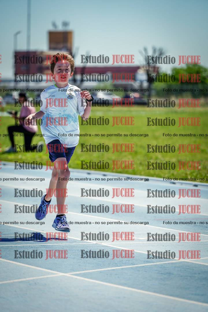 Fotos de los 60 m con vallas de varones