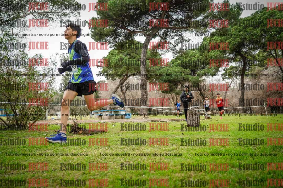 Fotos en el circuito