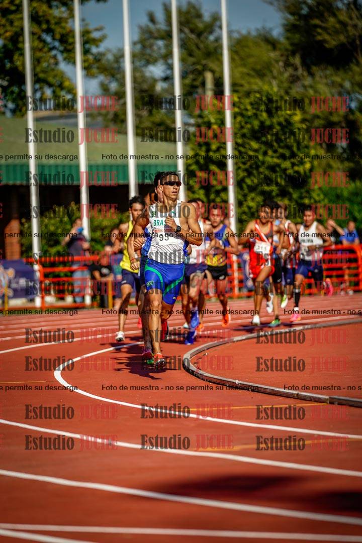 Fotos de los 1500 m llanos de varones