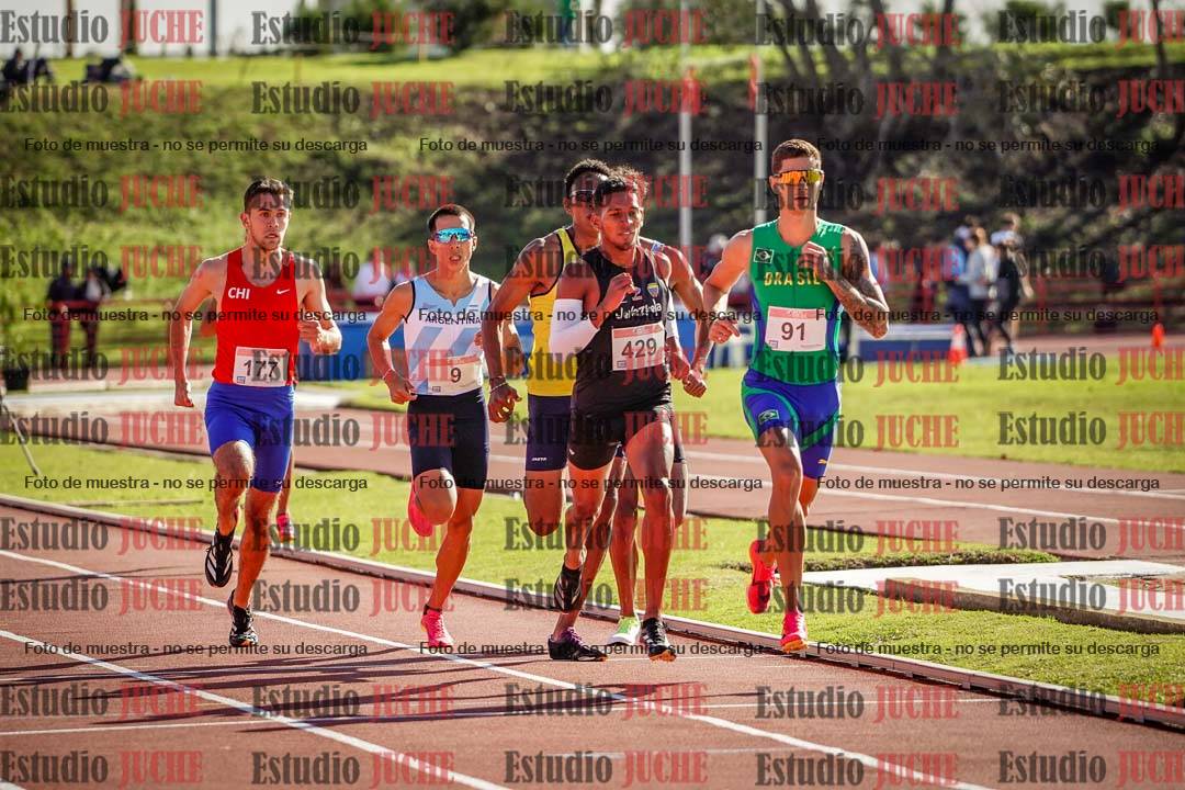 Fotos de los 800 m llanos de varones