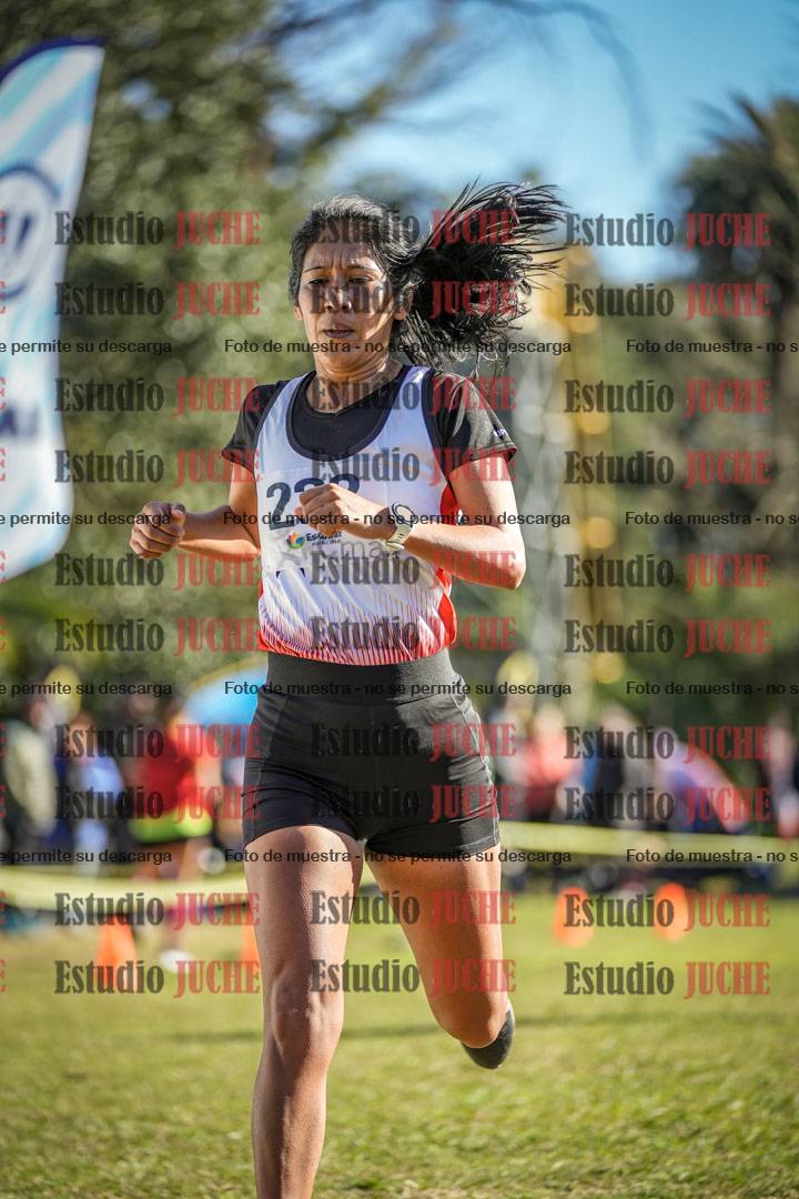 Fotos de la llegada del cross de 6000 m