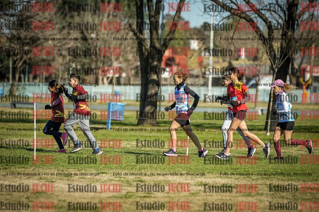 Fotos en el circuito
