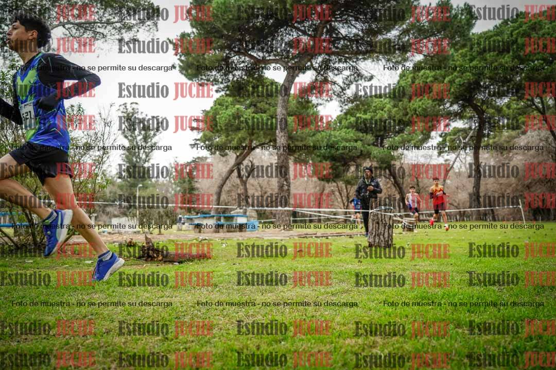 Fotos en el circuito