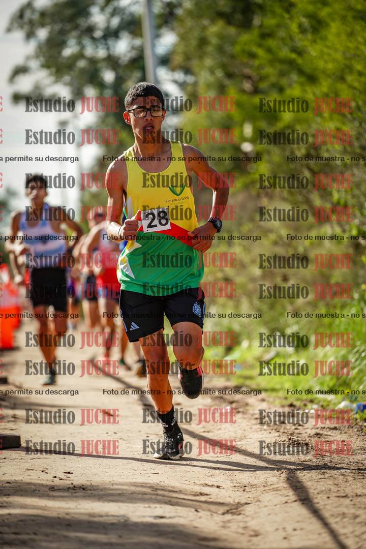 Fotos en el circuito
