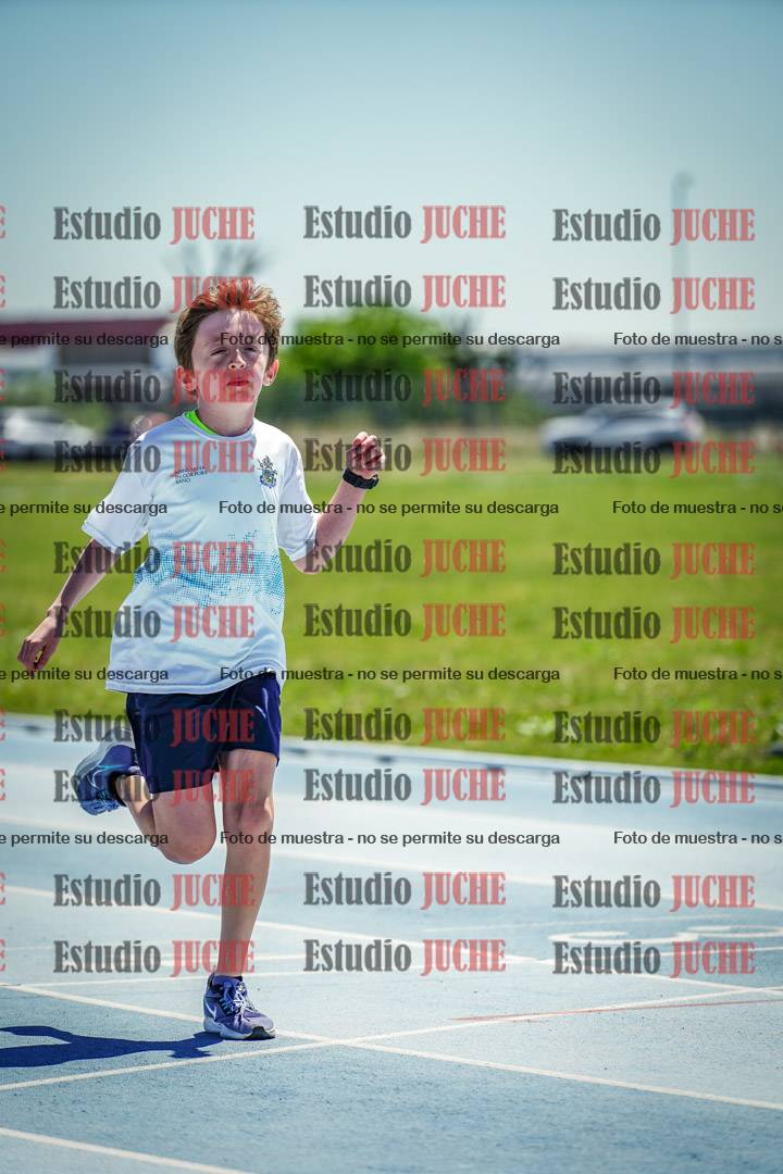 Fotos de los 60 m con vallas de varones