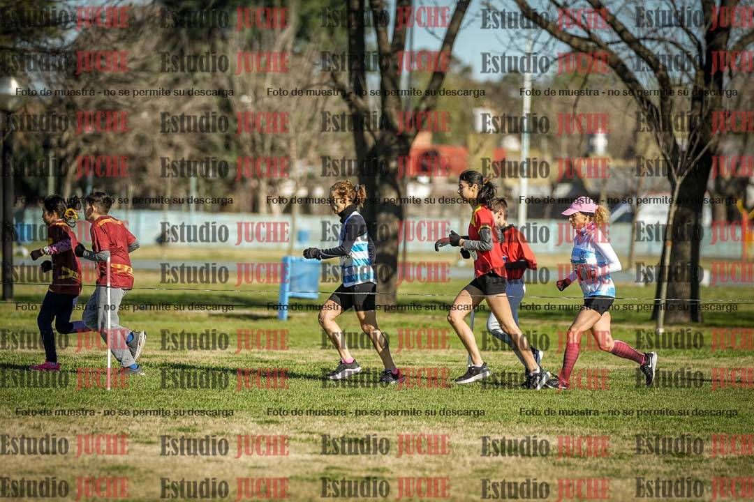 Fotos en el circuito