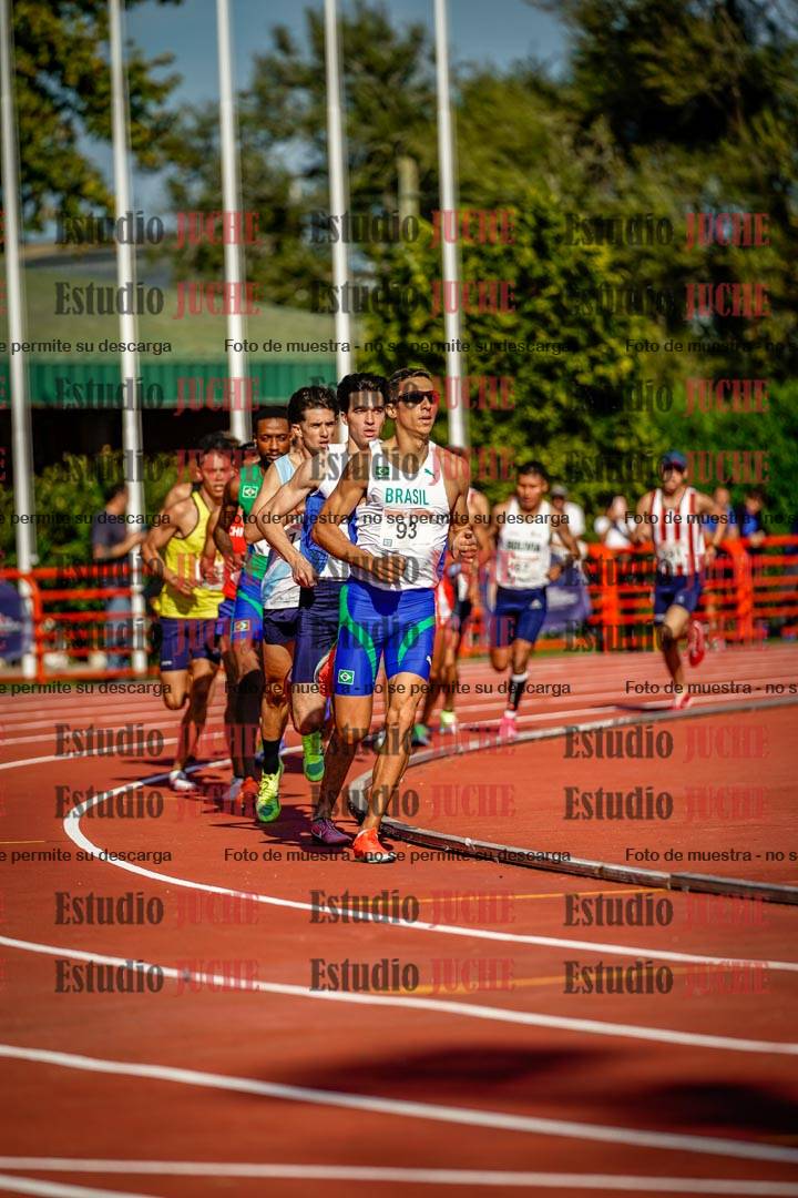 Fotos de los 1500 m llanos de varones