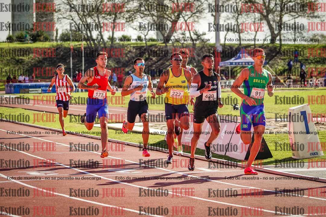 Fotos de los 800 m llanos de varones