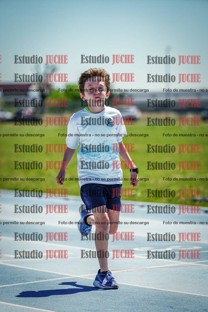 Fotos de los 60 m con vallas de varones
