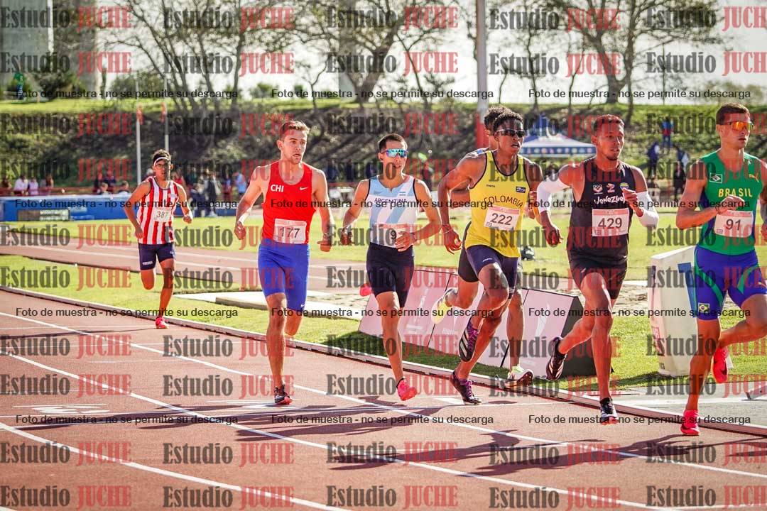 Fotos de los 800 m llanos de varones