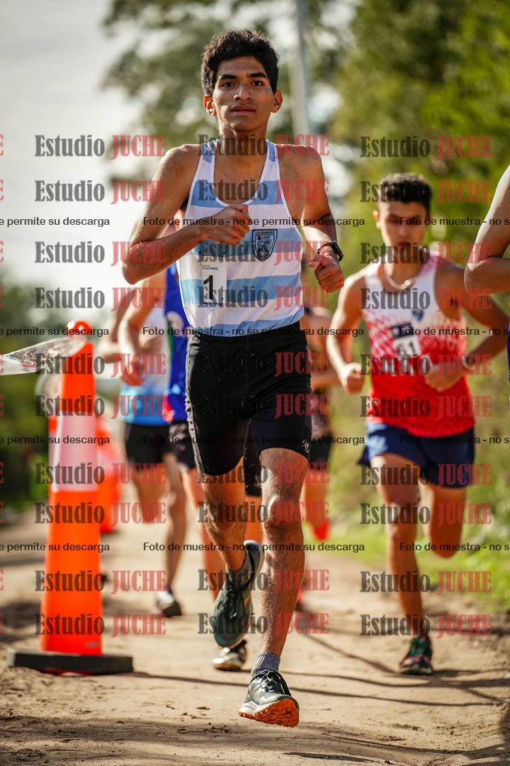 Fotos en el circuito