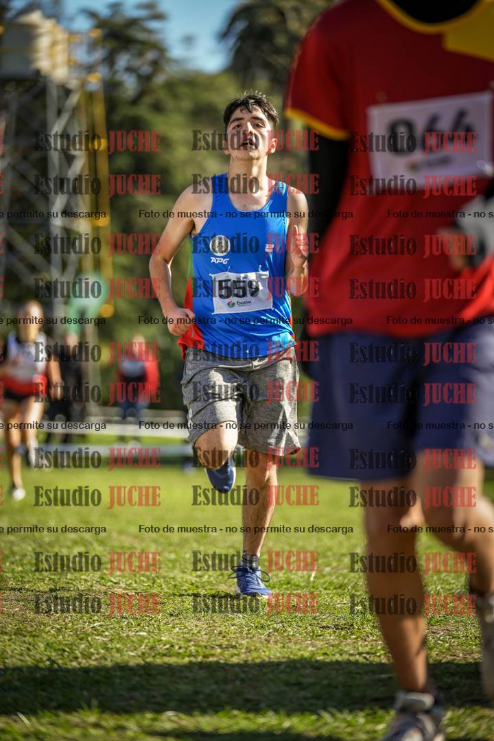 Fotos de la llegada del cross de 3000 m