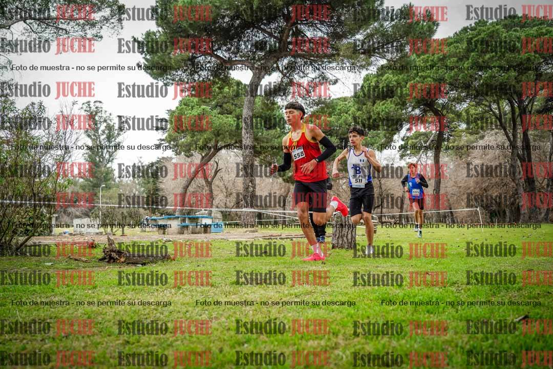 Fotos en el circuito