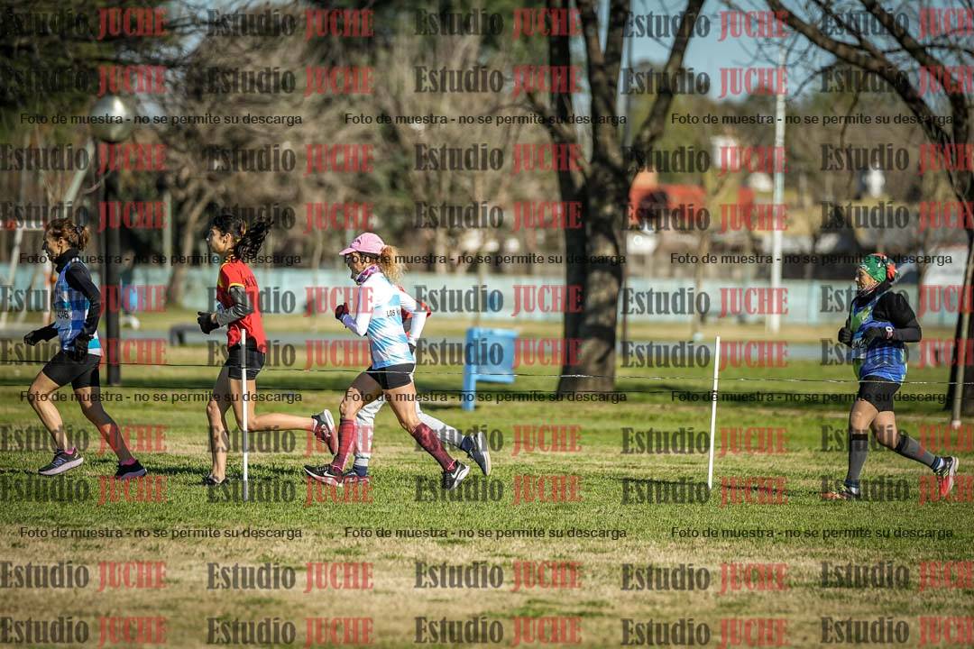 Fotos en el circuito