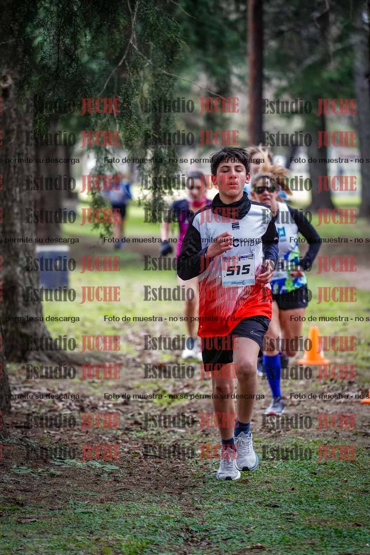 Fotos en el circuito