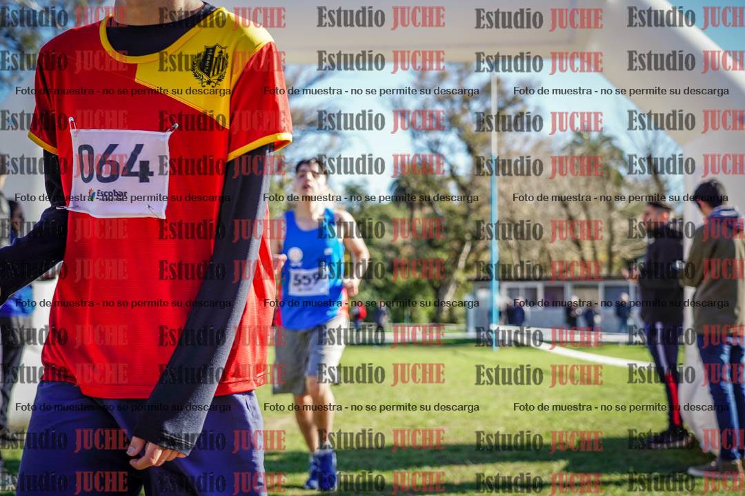 Fotos de la llegada del cross de 3000 m