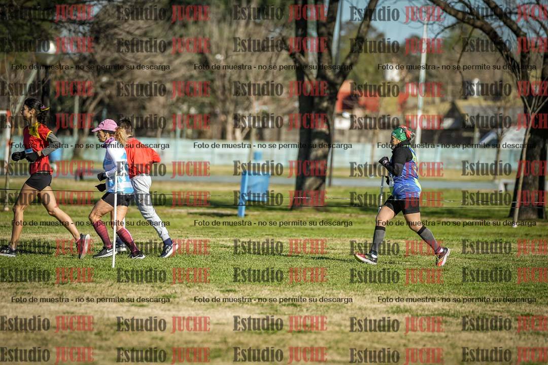Fotos en el circuito