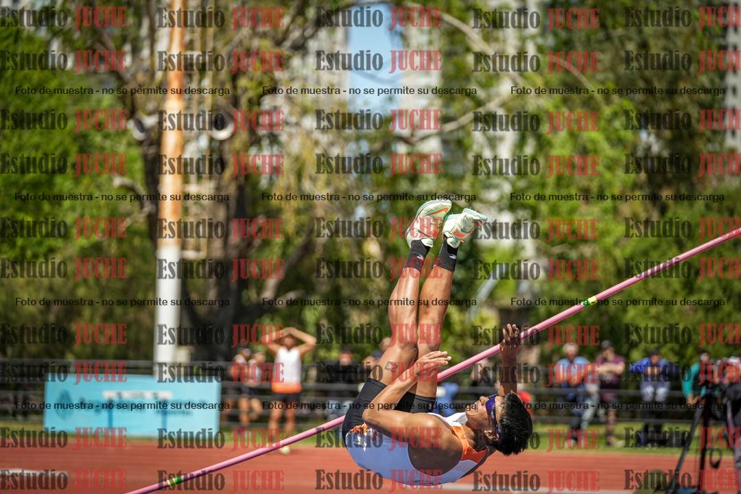 Fotos del salto en alto de varones