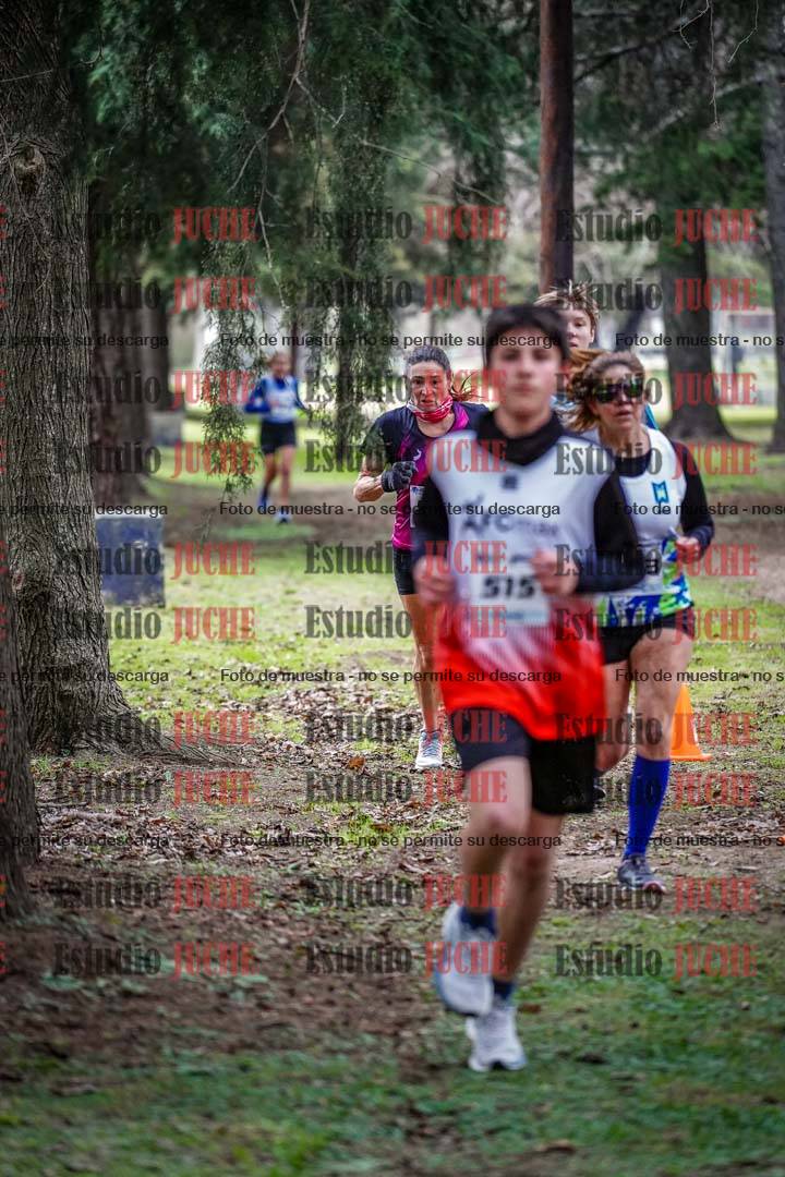 Fotos en el circuito