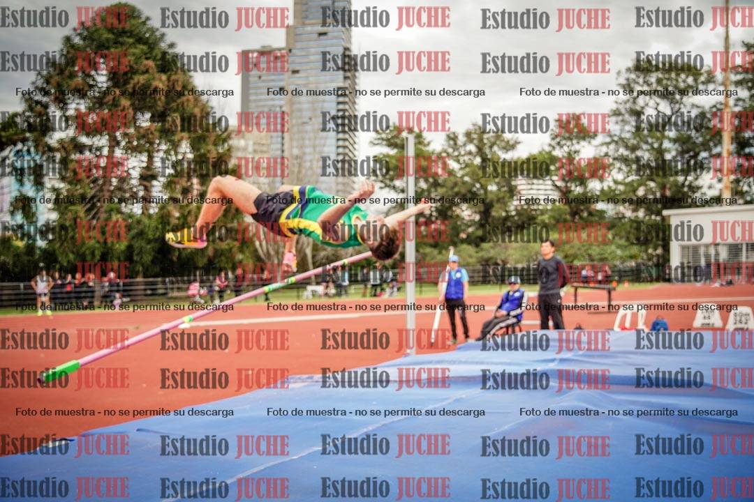 Fotos del salto en alto de varones