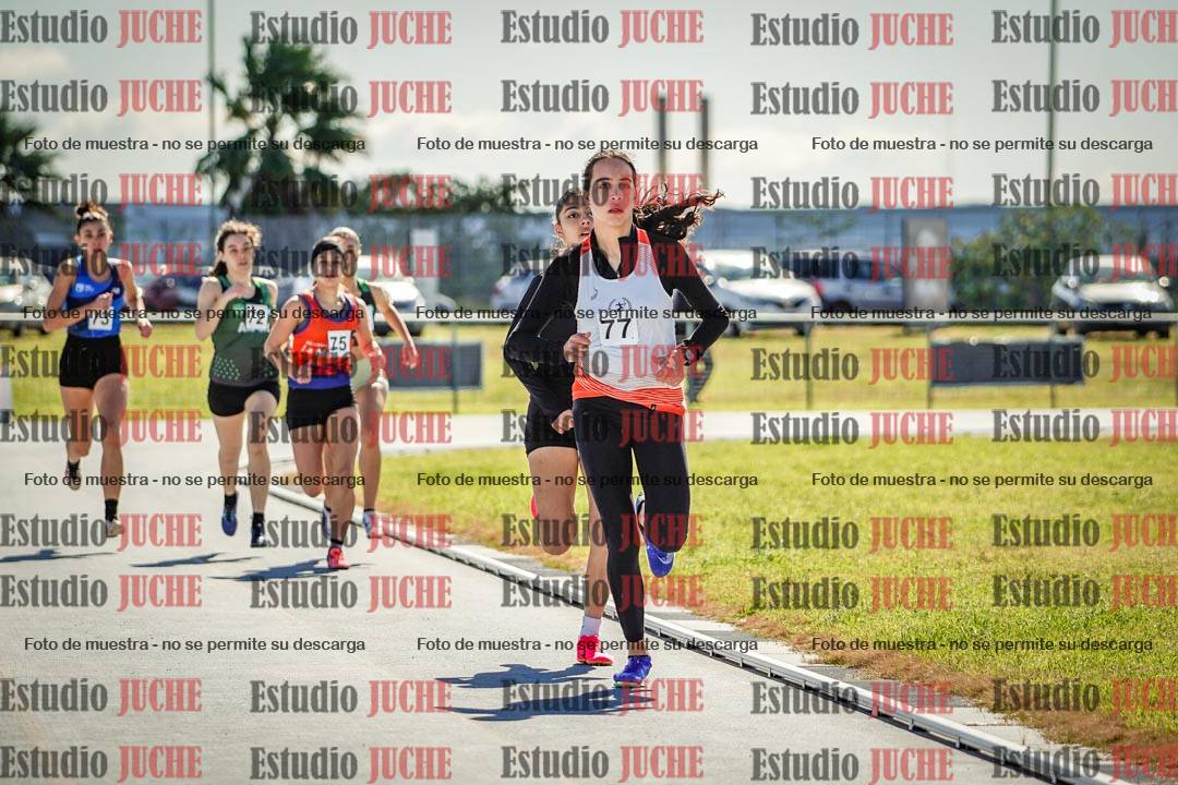 Fotos de los 800 m llanos de mujeres