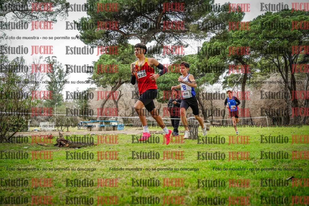 Fotos en el circuito