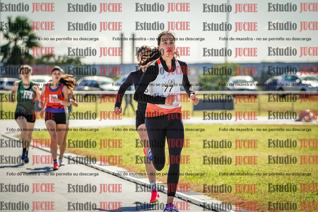 Fotos de los 800 m llanos de mujeres