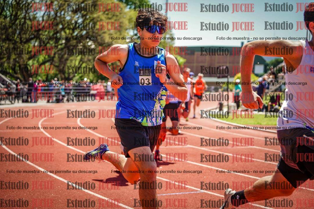 Fotos de los 800 m llanos de varones