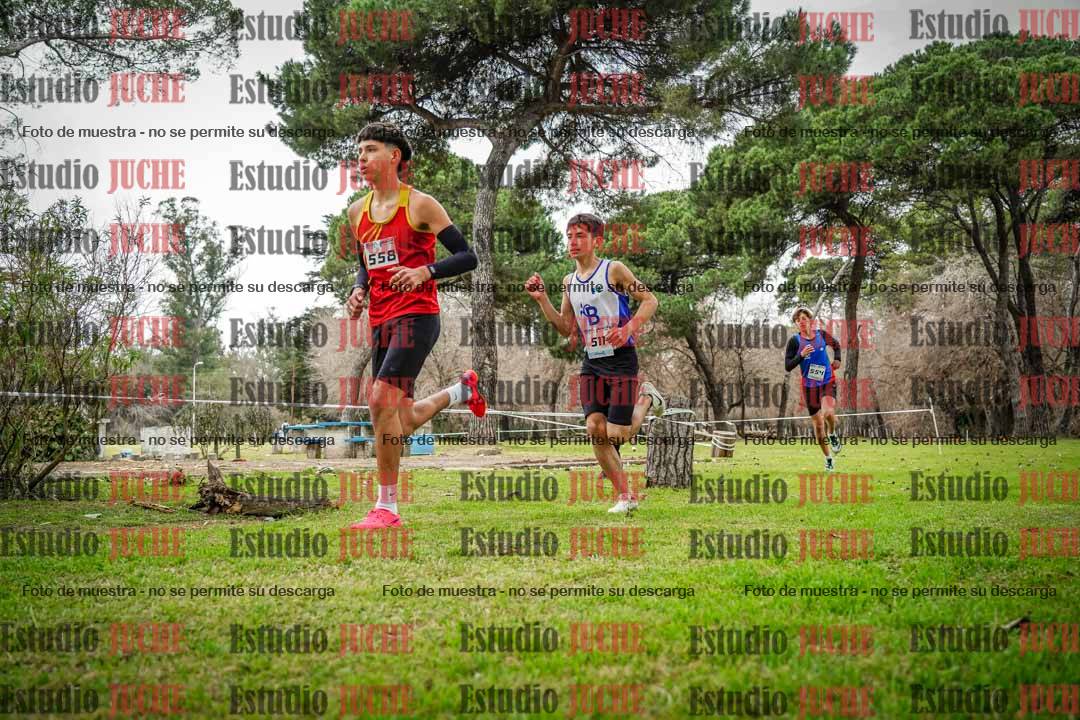 Fotos en el circuito