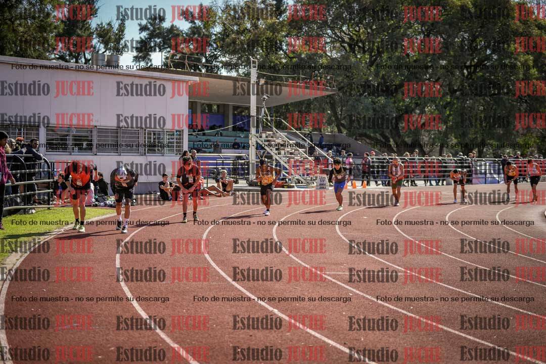 Fotos de los 800 m llanos de varones
