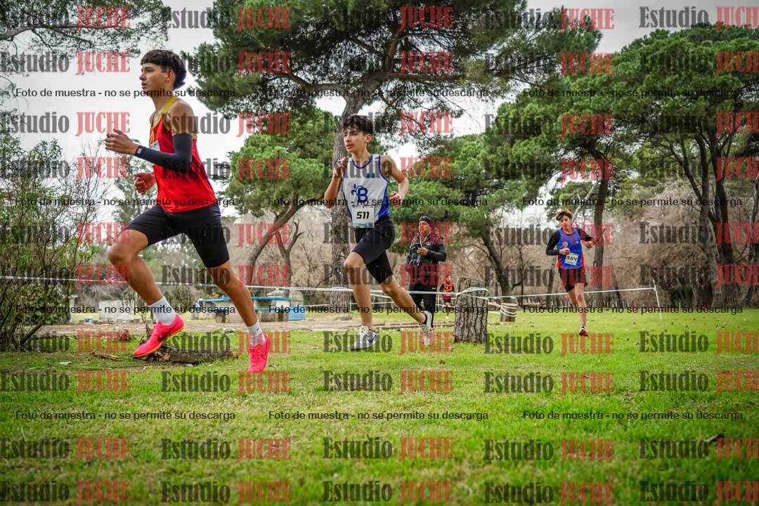 Fotos en el circuito