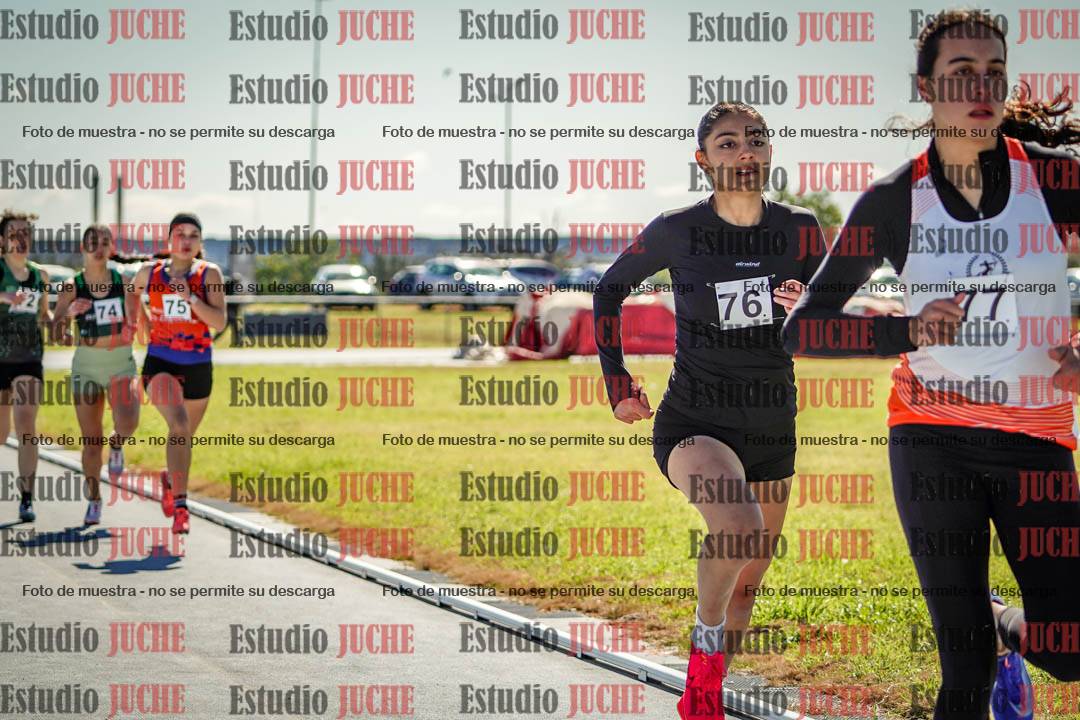 Fotos de los 800 m llanos de mujeres