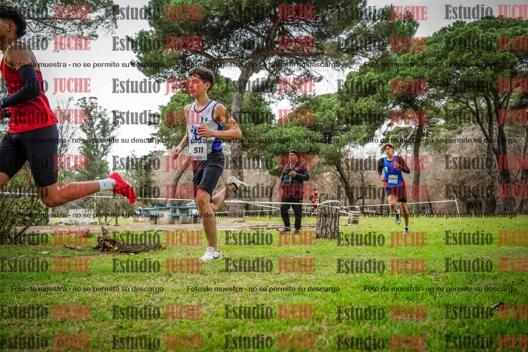 Fotos en el circuito