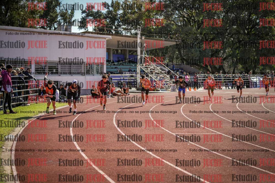 Fotos de los 800 m llanos de varones