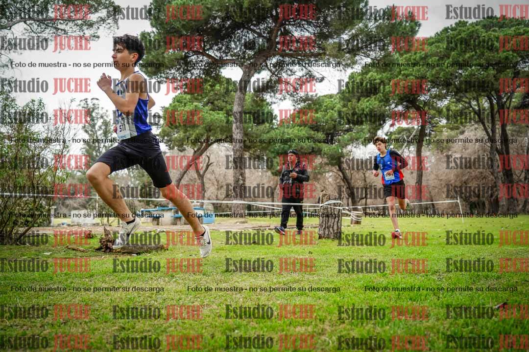 Fotos en el circuito