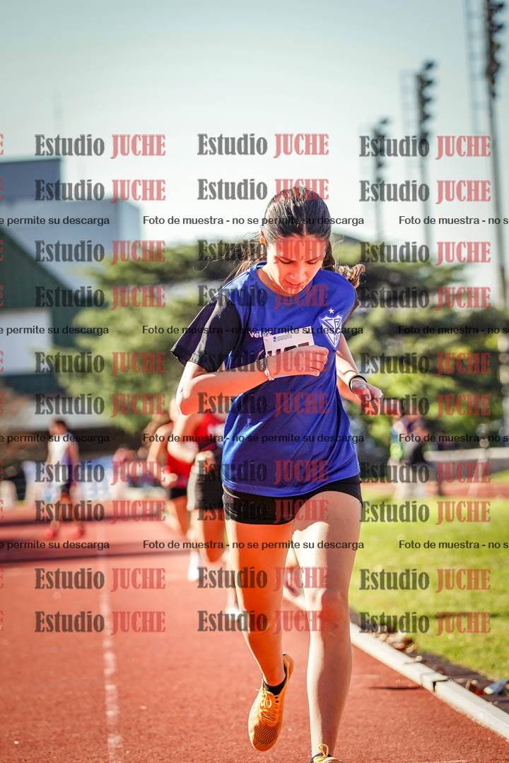 Fotos de los 800 m llanos de mujeres