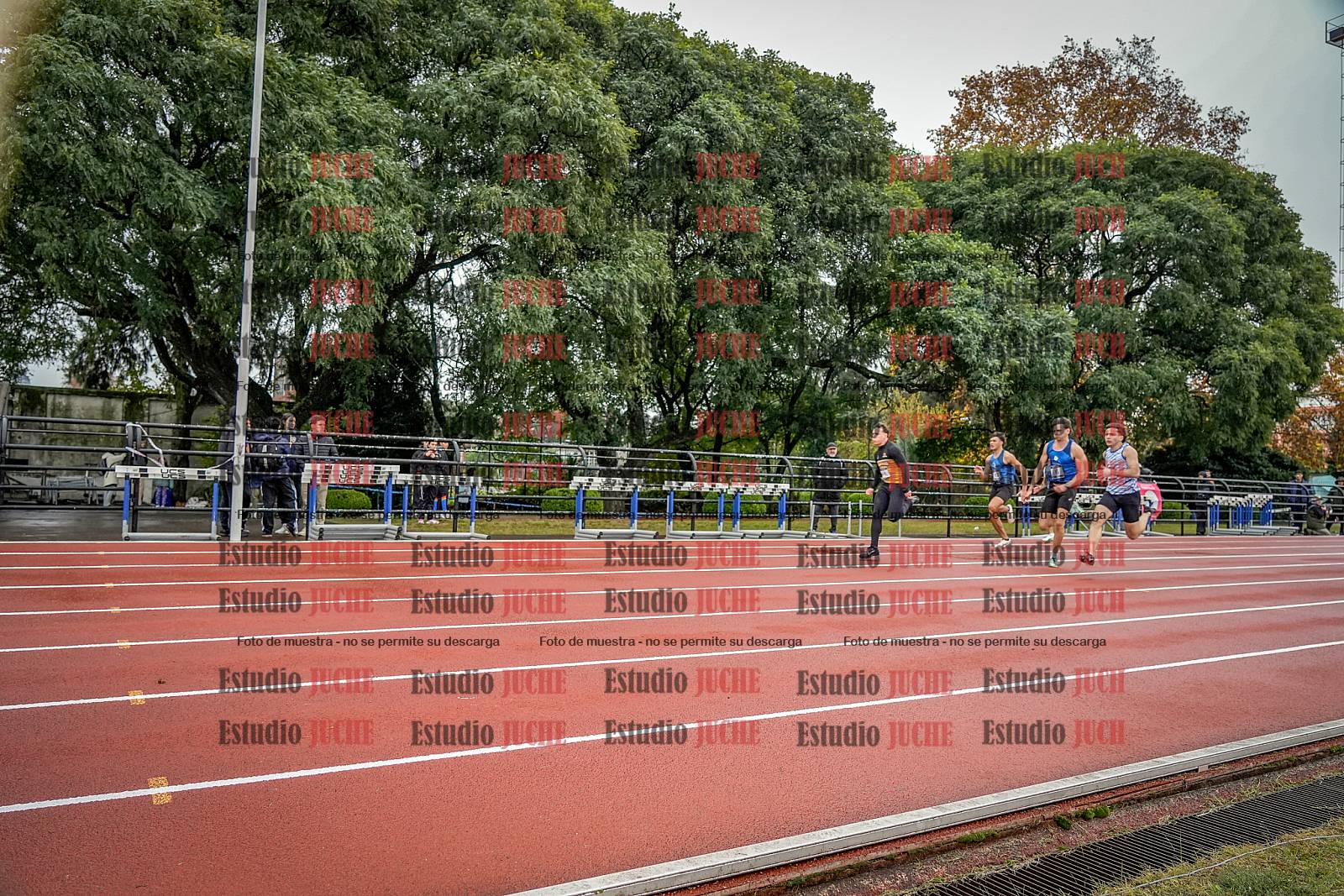 Fotos de los 100 m llanos de varones
