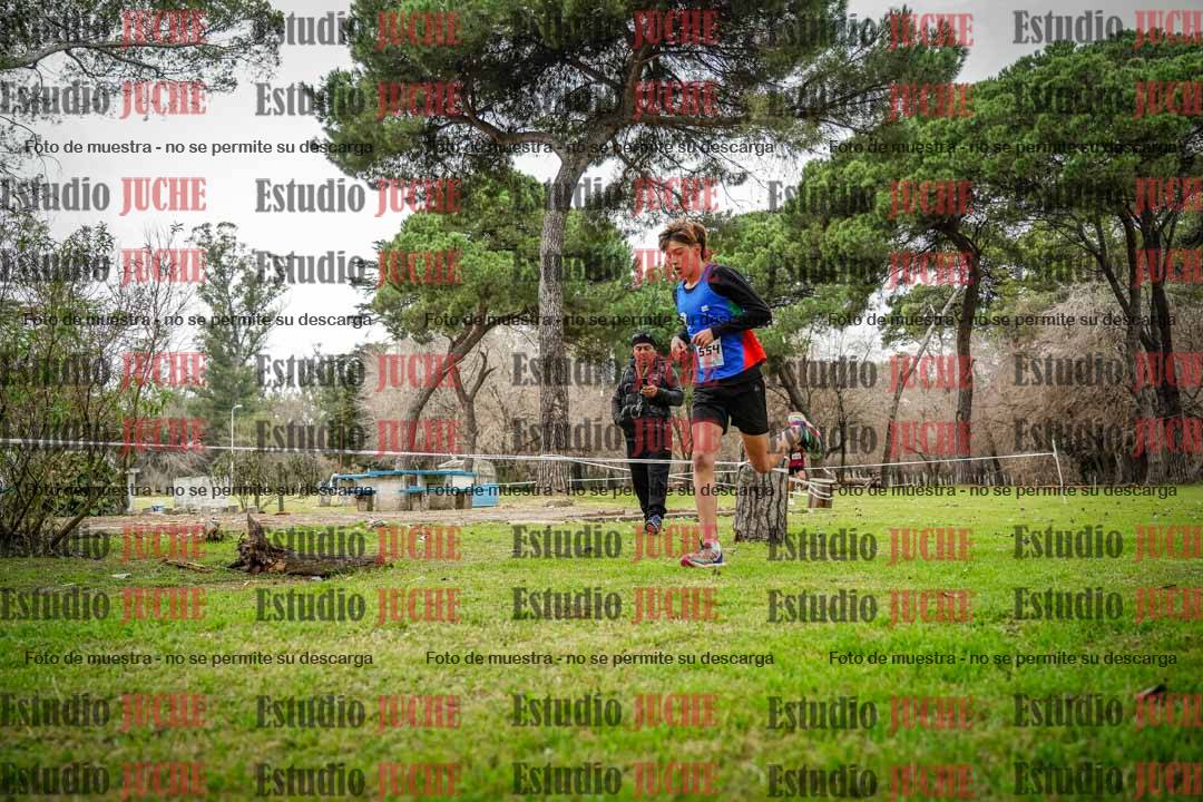 Fotos en el circuito
