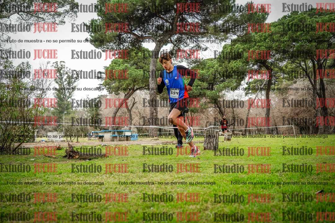 Fotos en el circuito