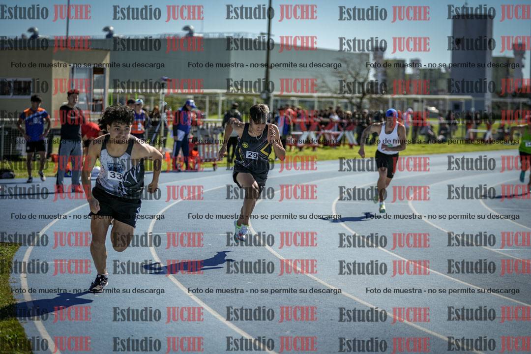 Fotos de los 800 m llanos de varones