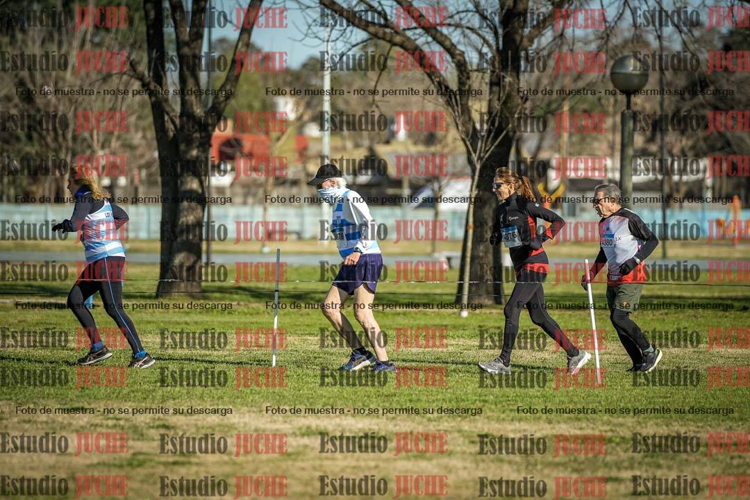 Fotos en el circuito