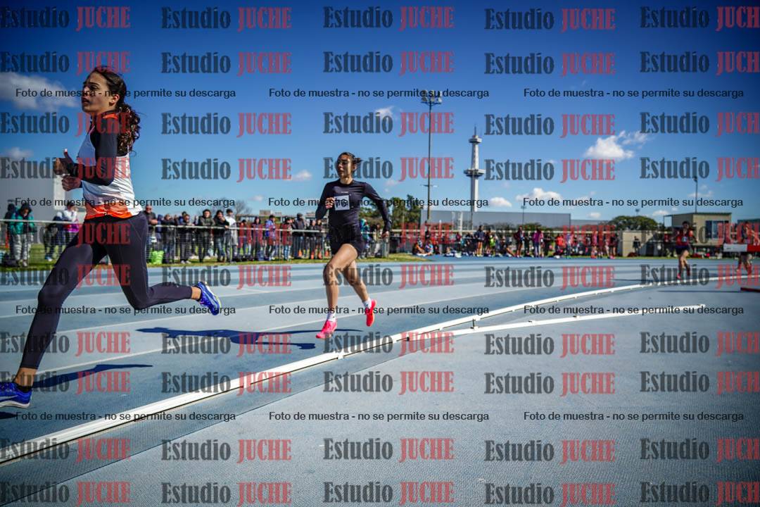 Fotos de los 800 m llanos de mujeres