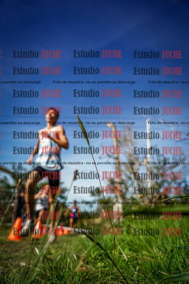 Fotos en el circuito