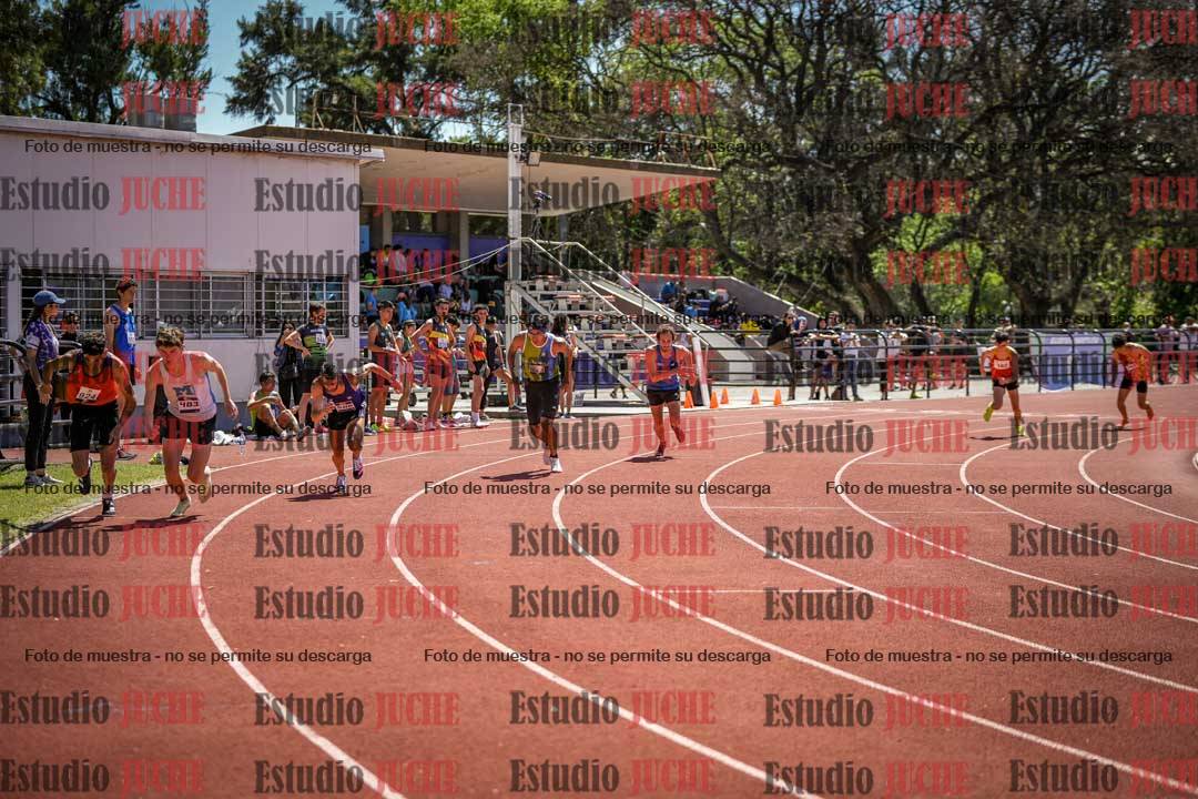 Fotos de los 800 m llanos de varones