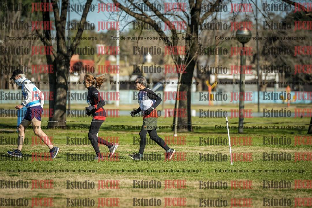 Fotos en el circuito