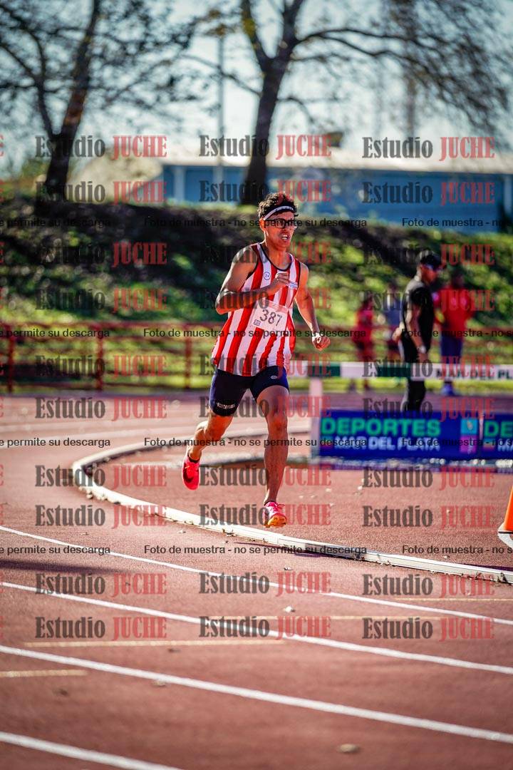 Fotos de los 800 m llanos de varones
