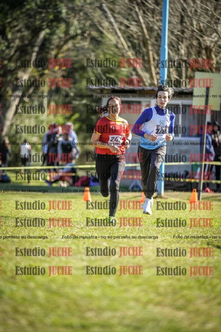 Fotos de la llegada del cross de 6000 m